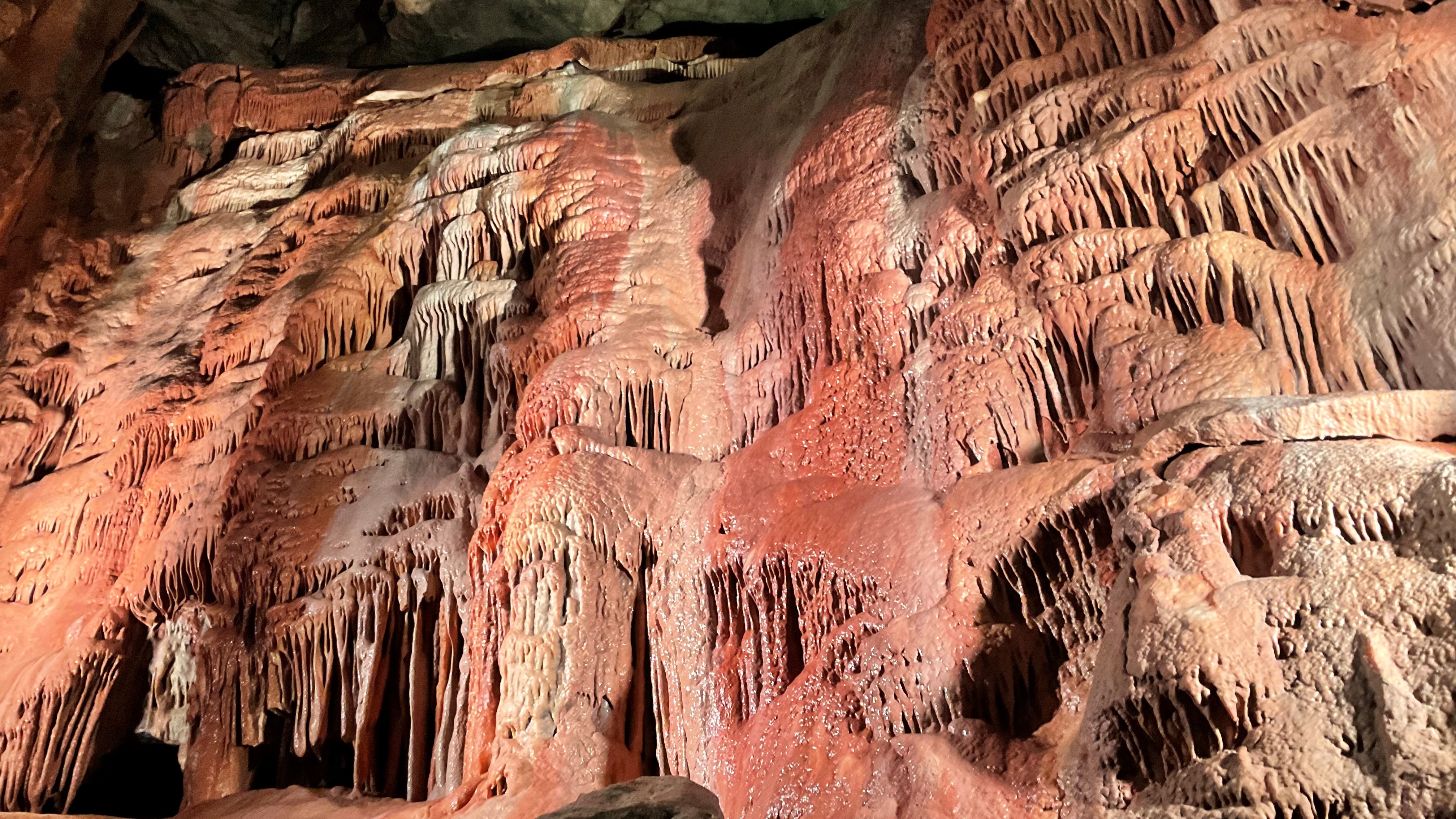 Caves finally reopen with new lighting and air purification